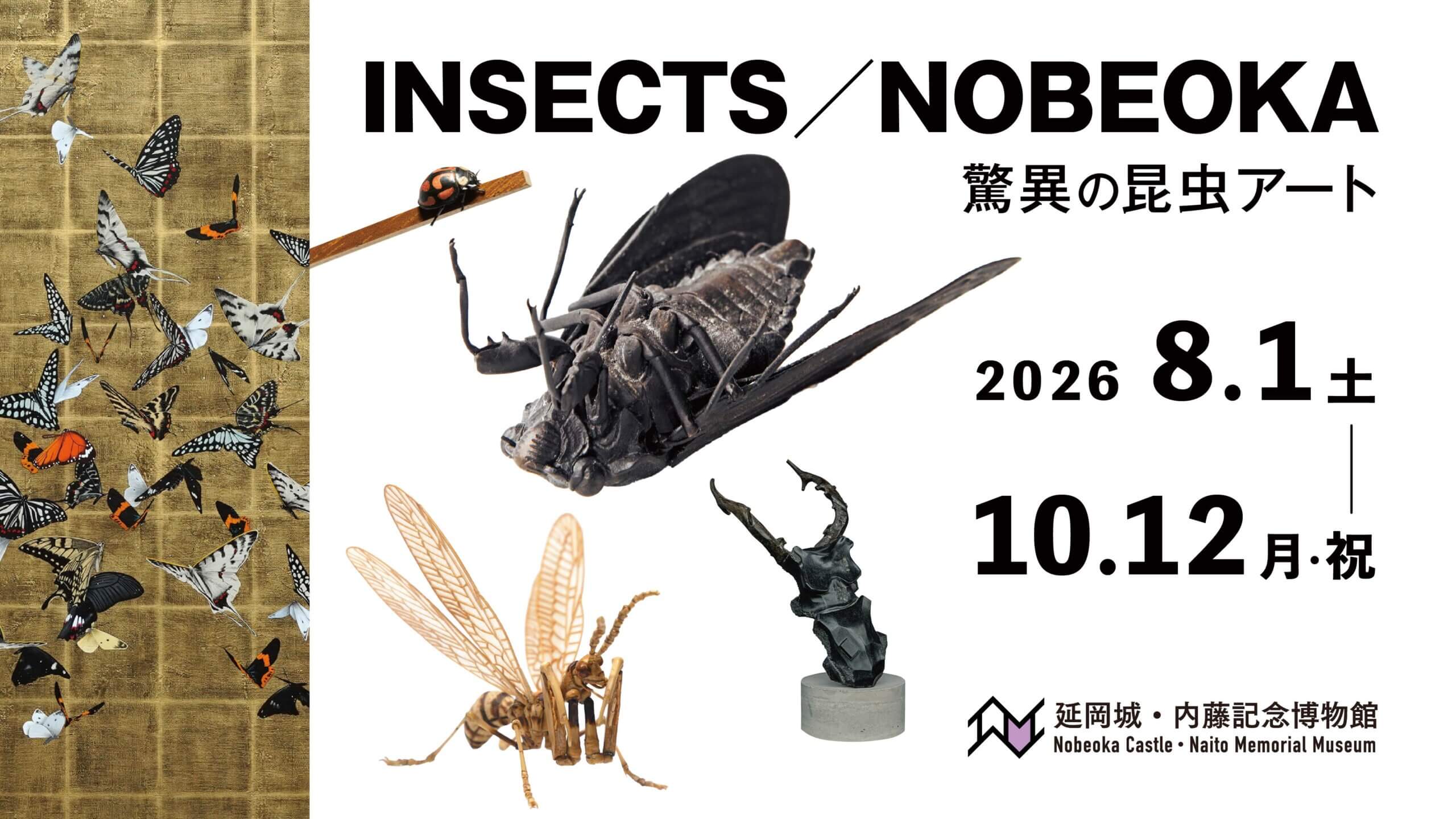 特別展「INSECTS/NOBEOKA －驚異の昆虫アート－」 | 延岡城・内藤記念
